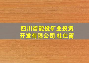 四川省能投矿业投资开发有限公司 杜仕莆